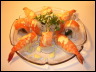 Shrimp.jpg
